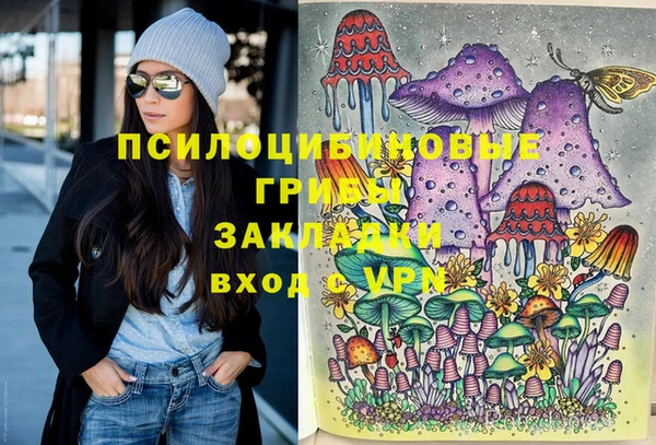 ГАЛЛЮЦИНОГЕННЫЕ ГРИБЫ Алексеевка