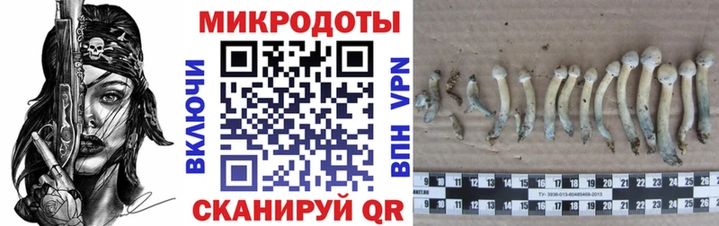 Галлюциногенные грибы мухоморы  наркошоп  Цимлянск 