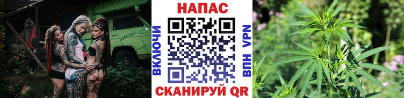 Бошки Шишки гибрид  Цимлянск 